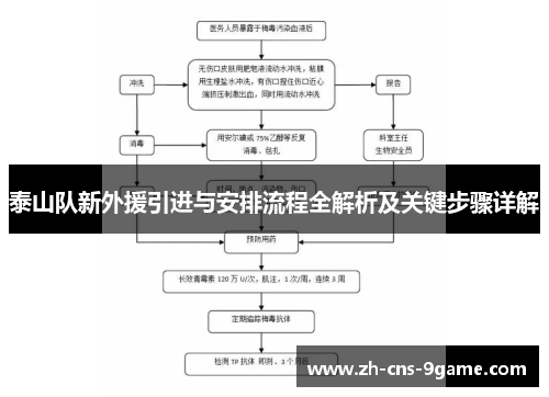 泰山队新外援引进与安排流程全解析及关键步骤详解