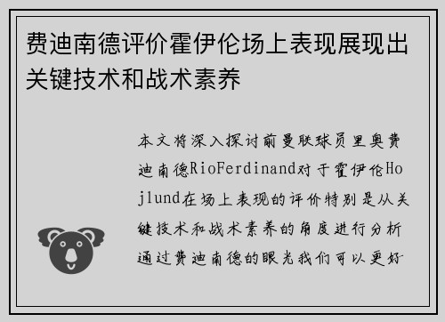 费迪南德评价霍伊伦场上表现展现出关键技术和战术素养