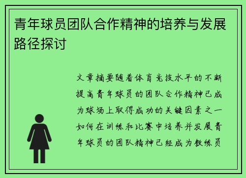 青年球员团队合作精神的培养与发展路径探讨