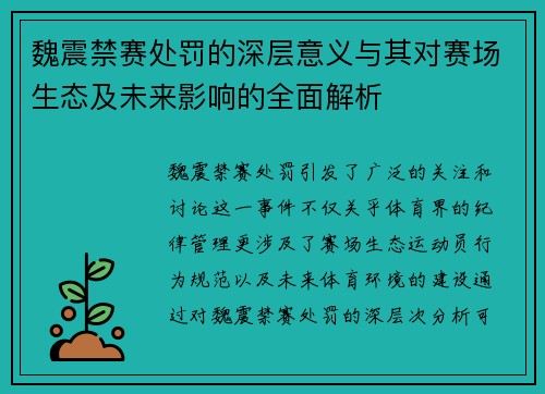 魏震禁赛处罚的深层意义与其对赛场生态及未来影响的全面解析